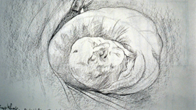 Rumpleforeskin