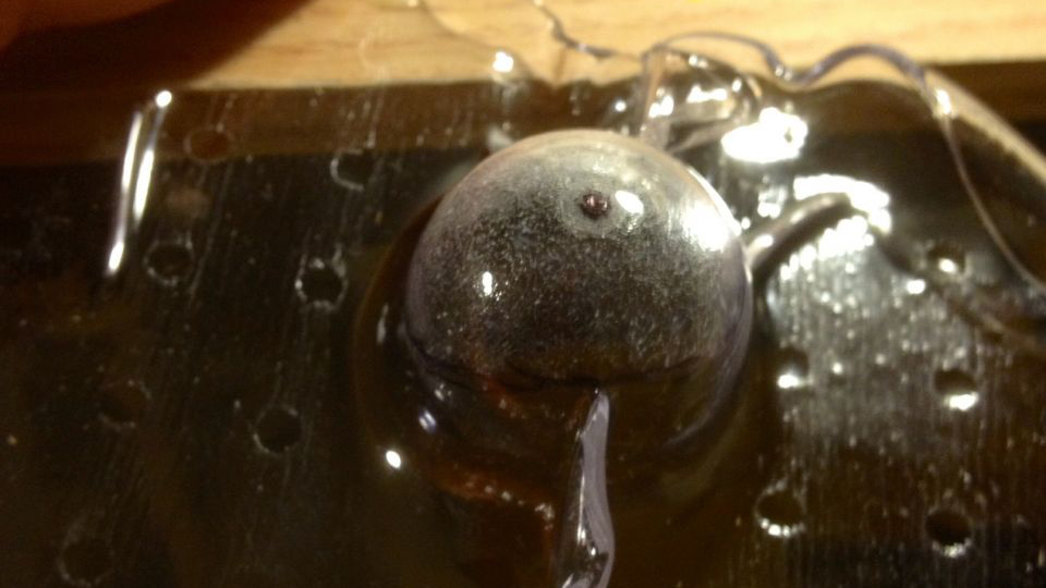 Zombie Goggles